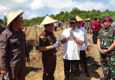 Kejati Kepri dan Kejari Batam Tanam Jagung di Rempang, Dorong Kemandirian Pangan Nasional